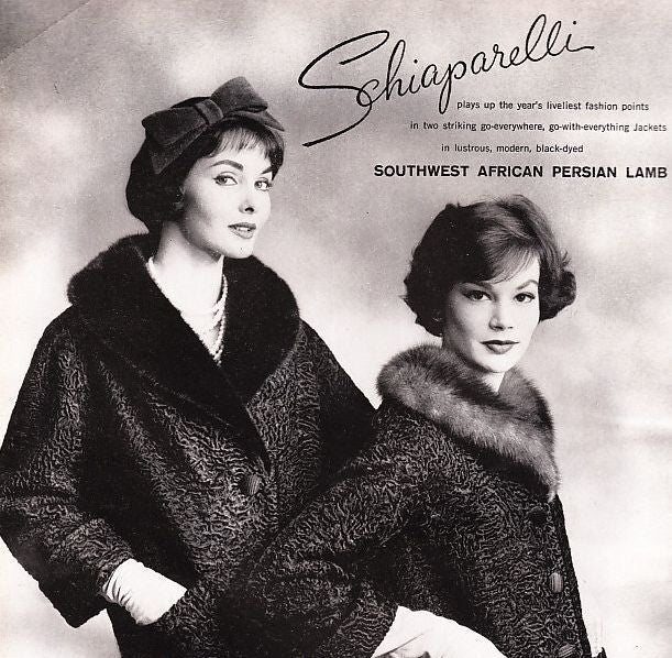 the black & white ball | 60s SCHIAPARELLI persian wool| size S